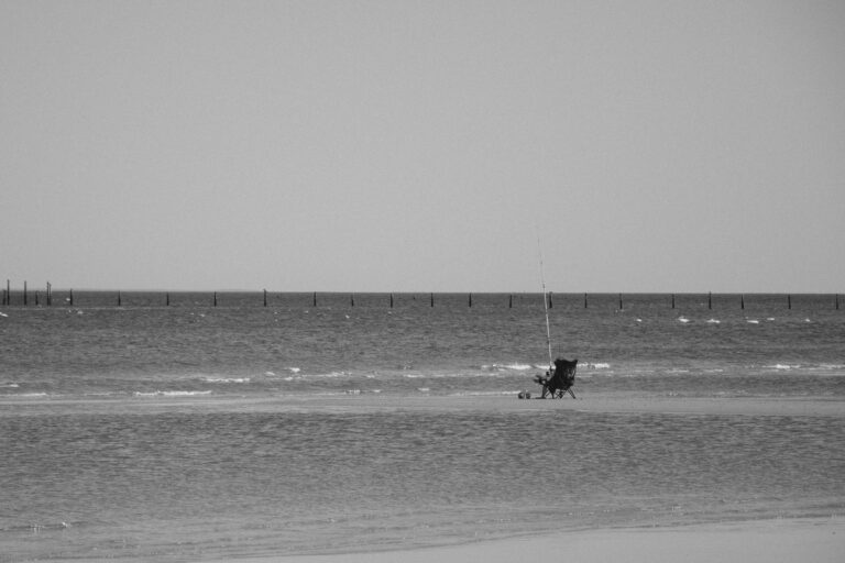 A minimalist black-and-white photo taken in coastal Virginia, showing a lone fisherman seated in a folding chair on a shallow sandbar. A fishing pole stands vertically next to them in the calm ocean water, and a long row of dark wooden breakwater pilings stretches across the horizon under a vast, open sky.